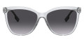 Transparent Gray / Gray Gradient