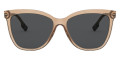 Transparent Brown / Gray