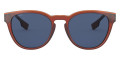 Transparent Brown / Blue