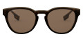 Top Transparent Gray on Dark Havana / Brown