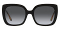 Black / Polarized Gray Gradient