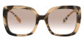 Spotted Horn / Brown Gradient