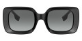 Black / Gray Gradient 300111