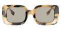 Brown / Light Brown
