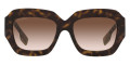 Havana / Brown Gradient