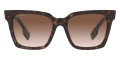 Havana / Brown Gradient