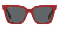 Red / Gray