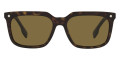 Havana / Brown