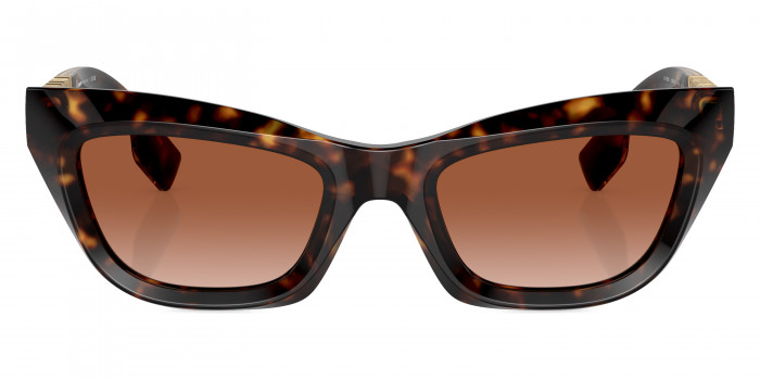 BURBERRY™ BE4409 300213 51 - Dark Havana