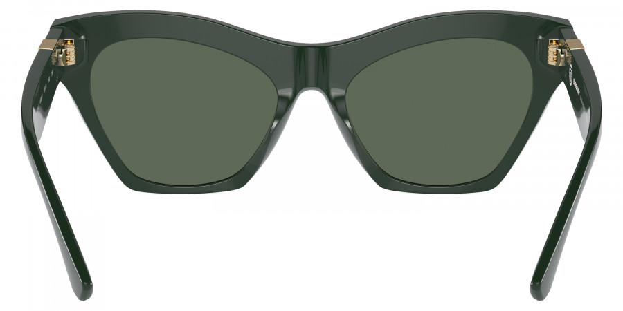 Burberry™ - BE4420U
