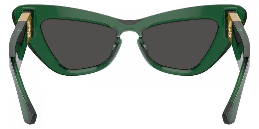 Burberry™ - BE4421U