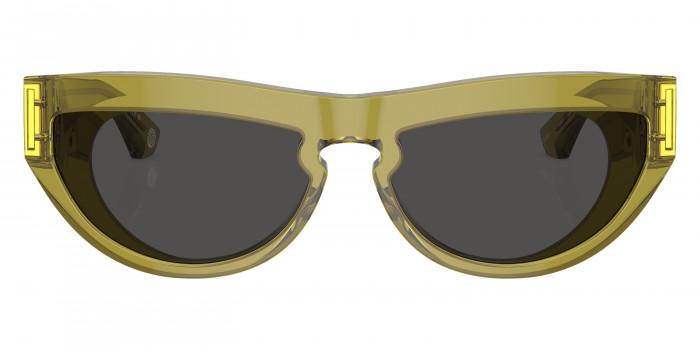 BURBERRY™ BE4422U 411887 58 - Green