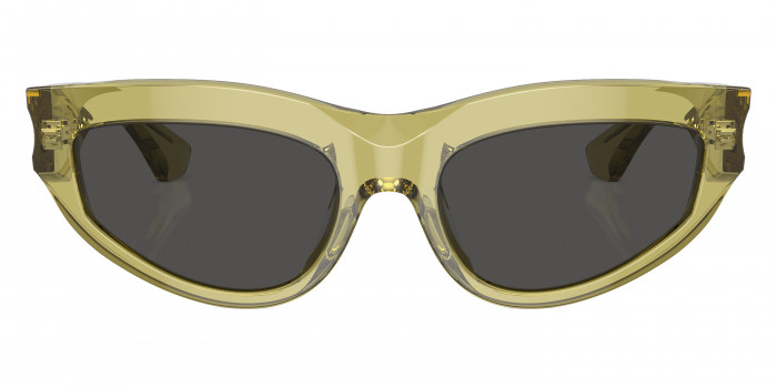 BURBERRY™ BE4425U 411887 55 - Green