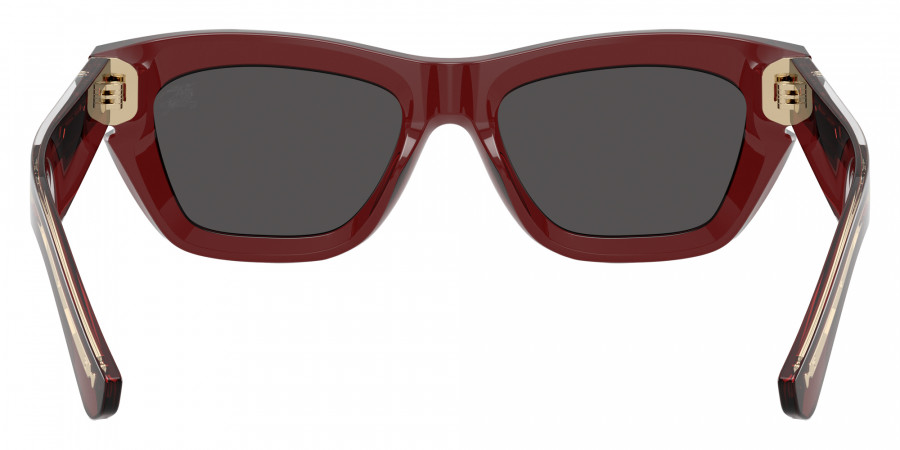 Color: Bordeaux (412887) - BURBERRY BE445441288752