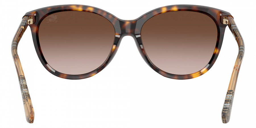 Color: Dark Havana (421613) - BURBERRY BE4455F42161355