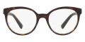 Dark Havana 504