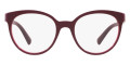 Dark Havana 5426
