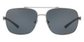 Matte Gunmetal / Polarized Gray