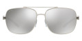 Matte Silver / Light Gray Mirrored Silver
