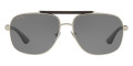 Matte Silver Plated / Polarized Gray