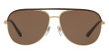 Brown / Matte Pale Gold / Brown