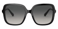 Black / Polarized Gray Gradient