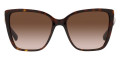 Havana / Brown Gradient