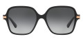 Black / Polarized Gray Gradient