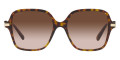 Havana / Brown Gradient