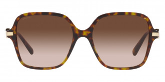 Color: Havana (504/13) - Bvlgari BV8248504/1355