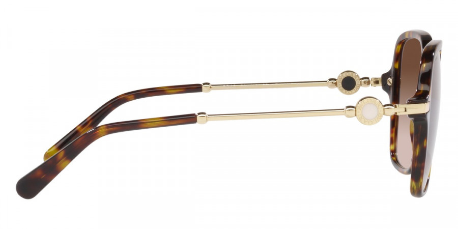 Color: Havana (504/13) - Bvlgari BV8248504/1355