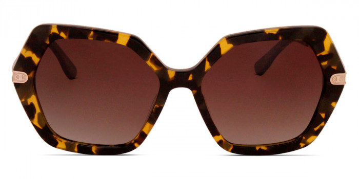 C-Life™ LIV c04 56 - Tokyo Tortoise