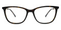 Dark Tortoise