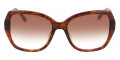 Honey Tortoise Ck Print