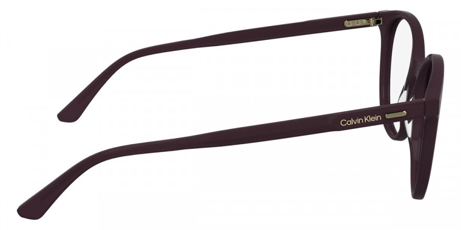 Calvin Klein™ - CK24543