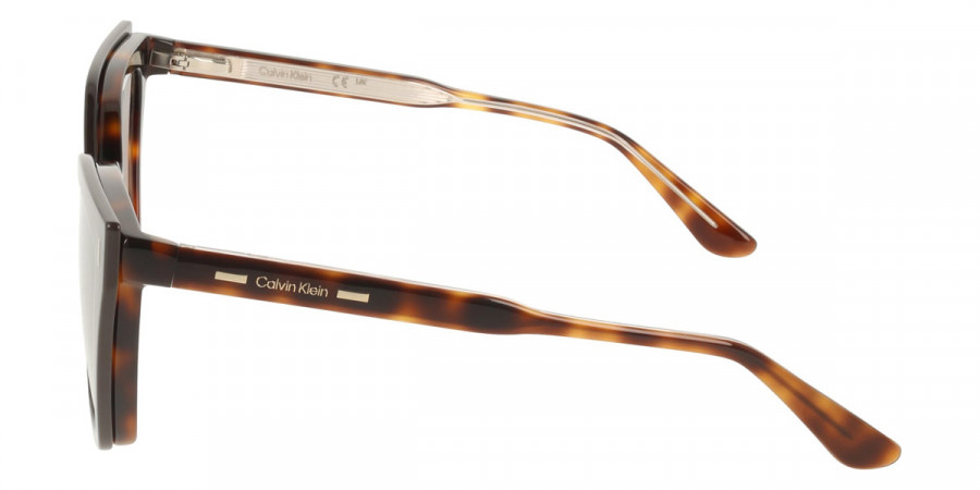 Color: Havana (242) - Calvin Klein CKOCK24550MAG-SET24255