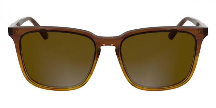 Calvin Klein™ CK25507S 203 54 - Striped Brown