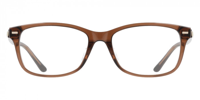 Calvin Klein™ CK25526LB 200 53 - Transparent Brown