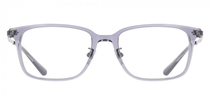 Calvin Klein™ CK25529LB 035 53 - Transparent Gray