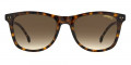 Havana / Brown Gradient