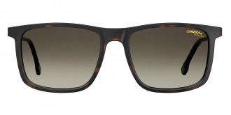 Color: Havana (0086HA) - Carrera CAR231/S0086HA55