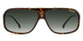 Dark Havana / Green Shaded