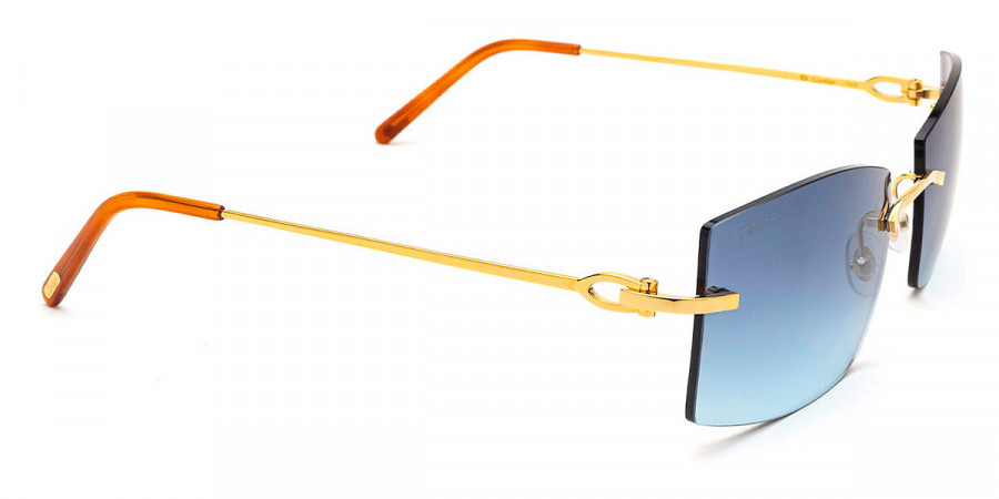 Color: Gold (001) - Cartier CT0005RS00158