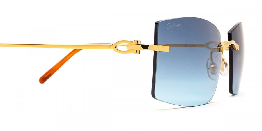 Color: Gold (001) - Cartier CT0005RS00158