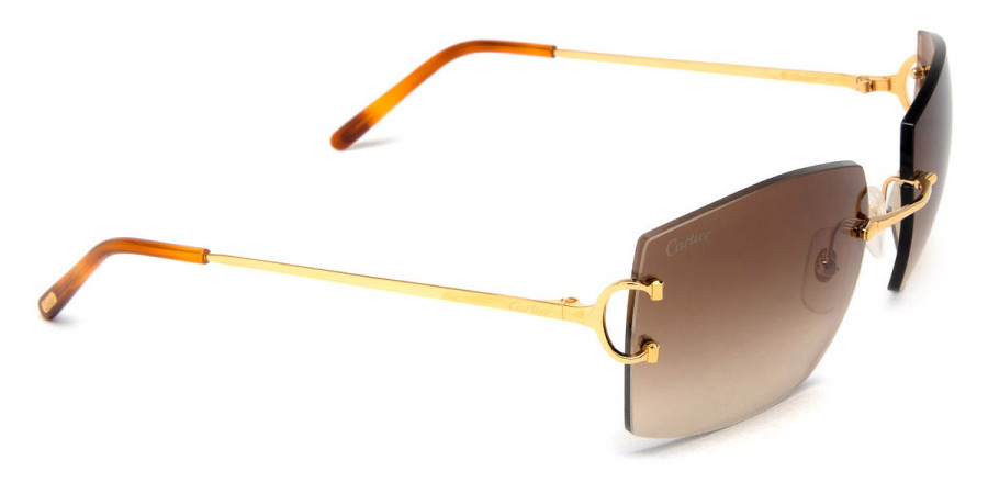 Cartier™ - CT0009RS Signature C de Cartier