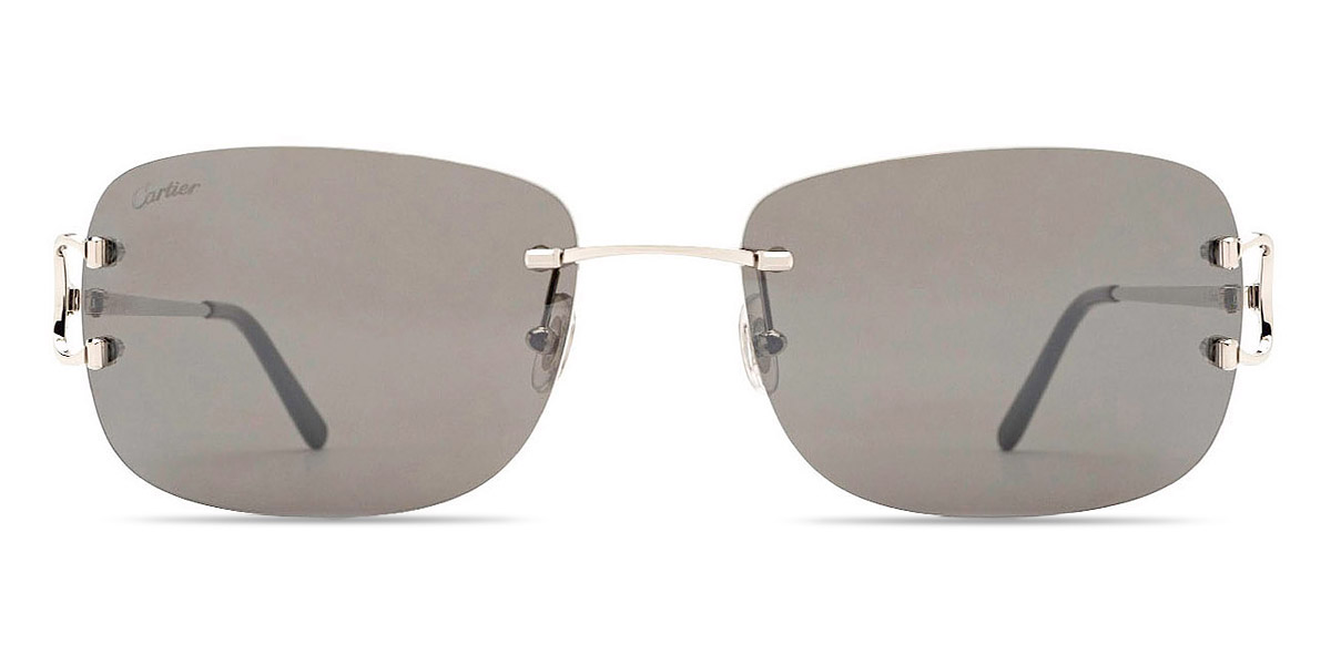 ct0011rs-silver-sunglasses-001