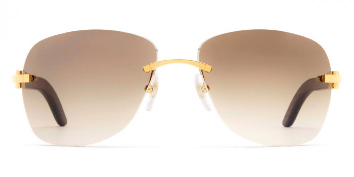 Cartier™ - CT0014RS C Décor