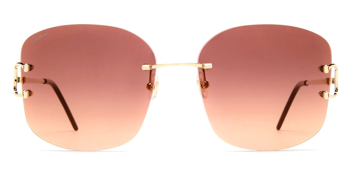 ct0037rs-gold-sunglasses-002-