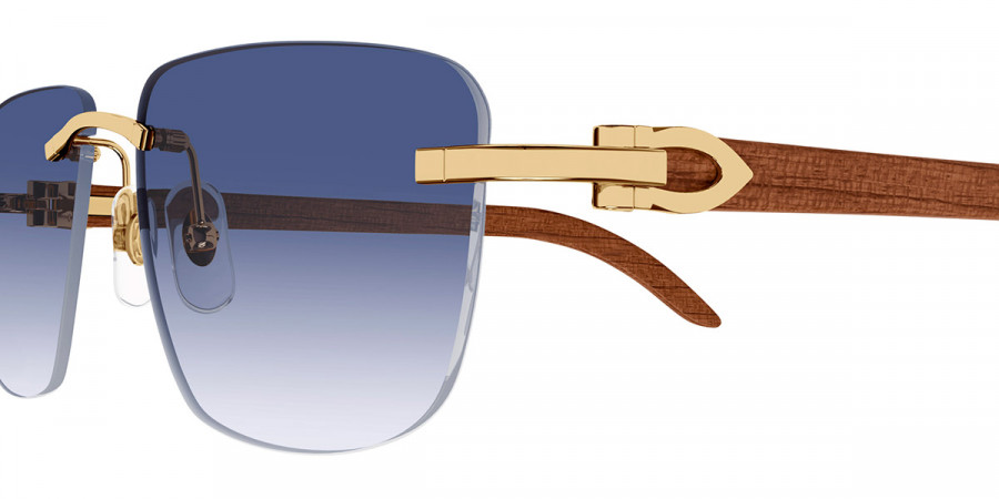 Cartier™ - CT0040RS C Décor