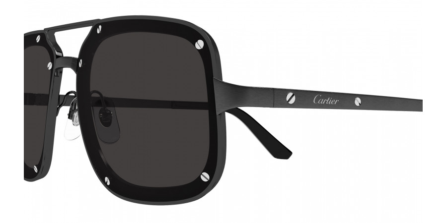 Color: Black (004) - Cartier CT0194S00458